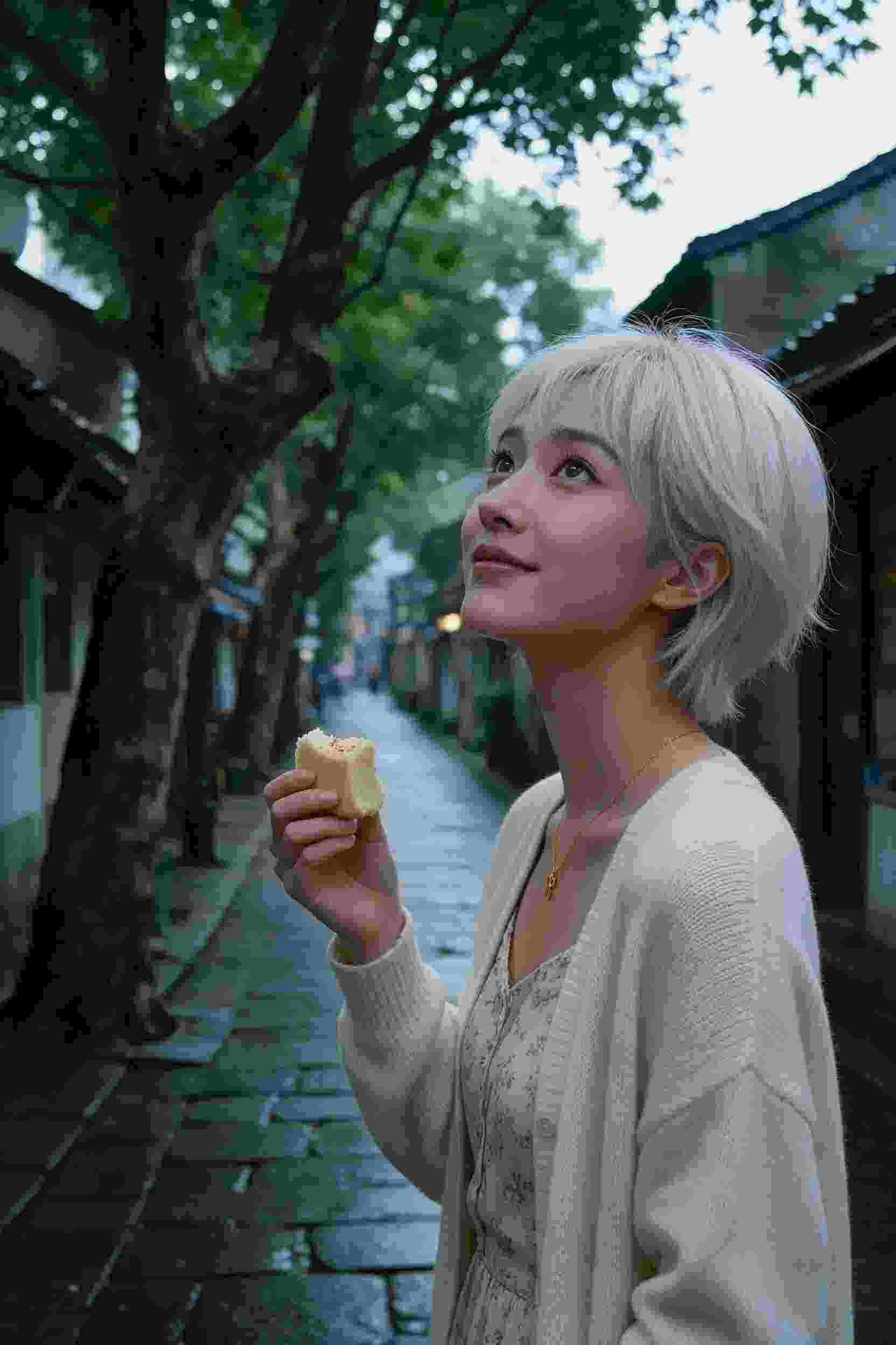剧集4